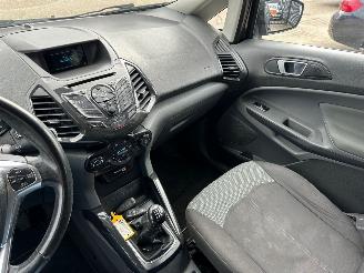Ford EcoSport 1.0 EcoBoost picture 10