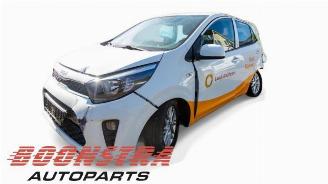 Sloopauto Kia Picanto Picanto (JA), Hatchback, 2017 1.0 DPI 12V 2023/12