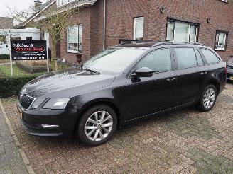  Skoda Octavia 1.0 TSI Ambition Business Dsg 2019/1