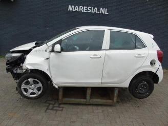 Sloopauto Kia Picanto Picanto (JA), Hatchback, 2017 1.0 DPi 12V 2021/4