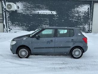 disassembly passenger cars Skoda Fabia Fabia II (5J), Hatchback 5-drs, 2006 / 2014 1.4 TDI 80 2008/2