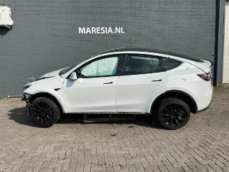  Tesla Model Y Model Y (5YJY), SUV, 2019 / 2025 Long Range,Performance 2023/6