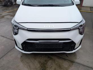 Sloopauto Kia Picanto Picanto (JA), Hatchback, 2017 1.0 DPI 12V 2025/10