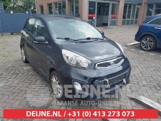 Purkuautot passenger cars Kia Picanto Picanto (TA), Hatchback, 2011 / 2017 1.2 16V 2012/3