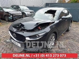 Mazda CX-30 CX-30 (DM), SUV, 2019 2.0 e-SkyActiv-G 122 16V picture 3