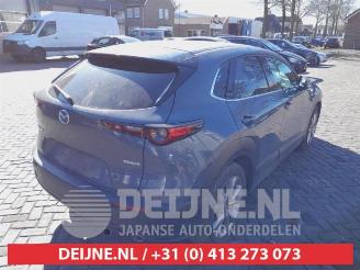 Mazda CX-30 CX-30 (DM), SUV, 2019 2.0 e-SkyActiv-G 122 16V picture 7
