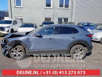 Mazda CX-30 CX-30 (DM), SUV, 2019 2.0 e-SkyActiv-G 122 16V picture 4