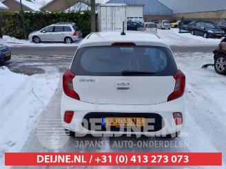 Kia Picanto Picanto (JA), Hatchback, 2017 1.0 DPi 12V picture 6