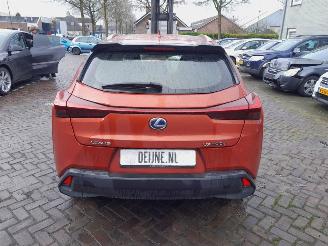 Lexus UX 300e Business 54 kWh picture 6