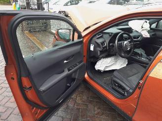 Lexus UX 300e Business 54 kWh picture 11