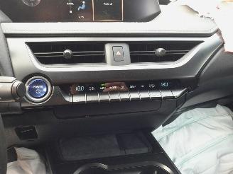 Lexus UX 300e Business 54 kWh picture 26