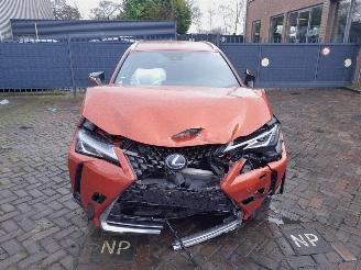 Lexus UX 300e Business 54 kWh picture 2