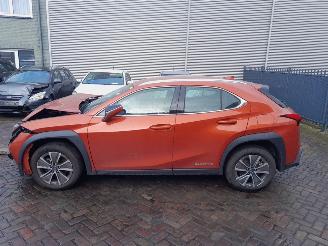 Lexus UX 300e Business 54 kWh picture 4