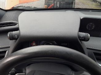 Lexus UX 300e Business 54 kWh picture 22