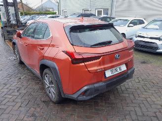 Lexus UX 300e Business 54 kWh picture 5