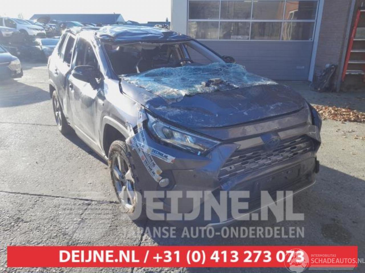 Toyota Rav-4 RAV4 (A5), Terreinwagen, 2018 2.5 Hybrid 16V