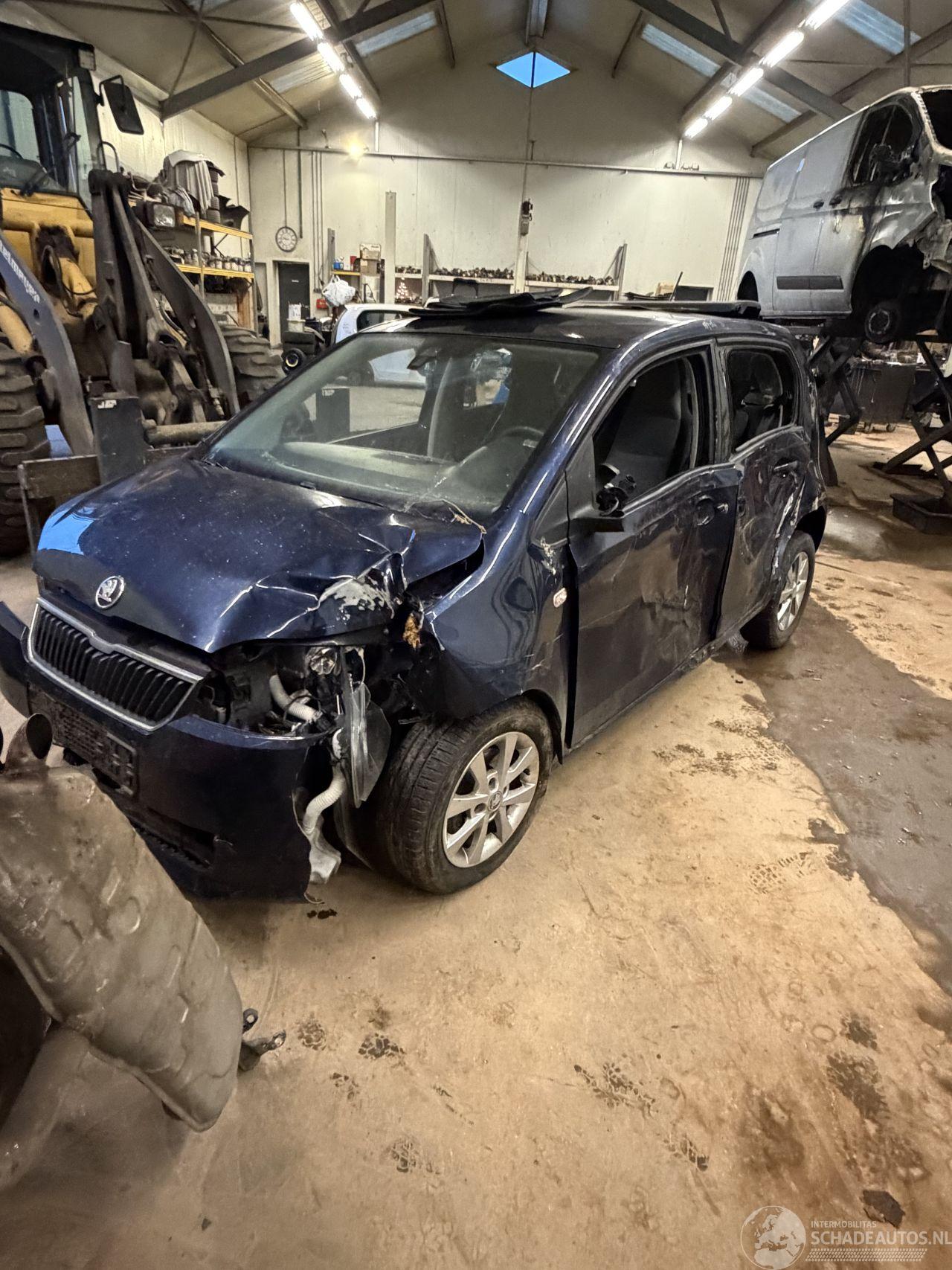 Skoda Citigo 1.0 greentech