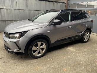 Damaged car Opel Grandland X 1.2 Turbo (96kW) GS Line 2023/6