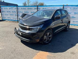 uszkodzony samochody osobowe Opel Grandland (X) 1.2 Turbo (96kW) GS 2024/1