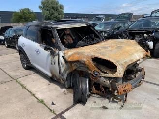 Mini Countryman Countryman (R60), SUV, 2010 / 2016 1.6 16V Cooper S picture 4