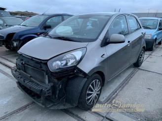 Vrakbiler auto Kia Picanto Picanto (TA), Hatchback, 2011 / 2017 1.0 12V 2013/11