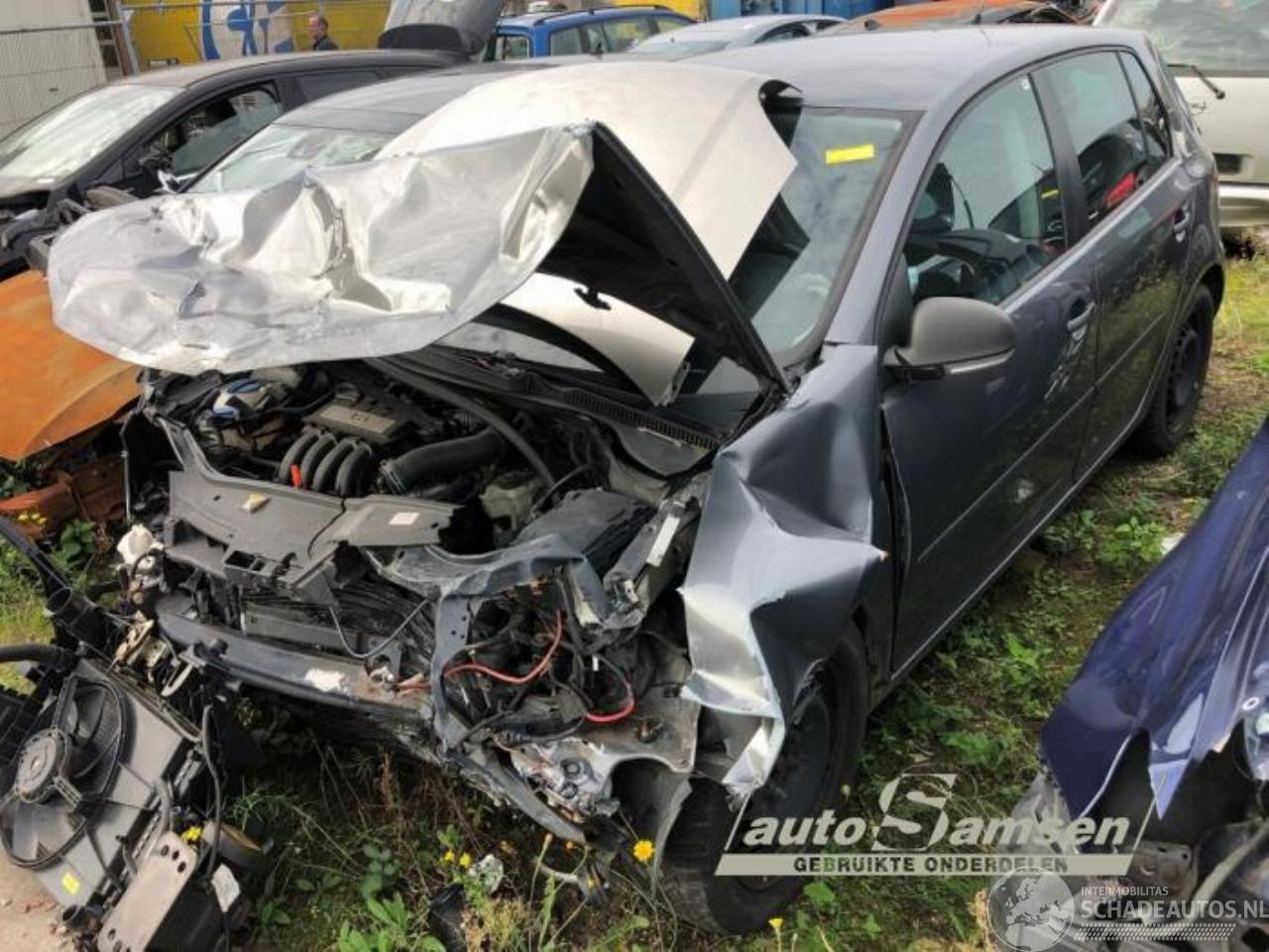 Volkswagen Golf Golf V (1K1), Hatchback, 2003 / 2010 1.6