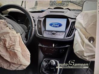 Ford Grand C-Max Grand C-Max (DXA), MPV, 2010 / 2019 1.0 Ti-VCT EcoBoost 12V 125 picture 14