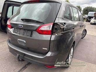Ford Grand C-Max Grand C-Max (DXA), MPV, 2010 / 2019 1.0 Ti-VCT EcoBoost 12V 125 picture 21