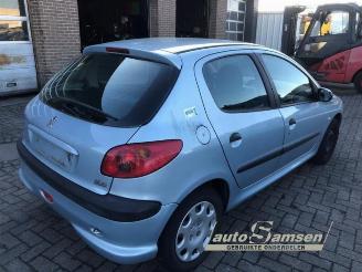 Peugeot 206 206 (2A/C/H/J/S), Hatchback, 1998 / 2012 1.4 XR,XS,XT,Gentry picture 3