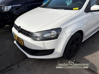 Volkswagen Polo Polo V (6R), Hatchback, 2009 / 2017 1.2 12V BlueMotion Technology picture 10