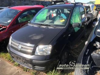 Salvage car Fiat Panda Panda (169), Hatchback, 2003 / 2013 1.2 Fire 2004/2