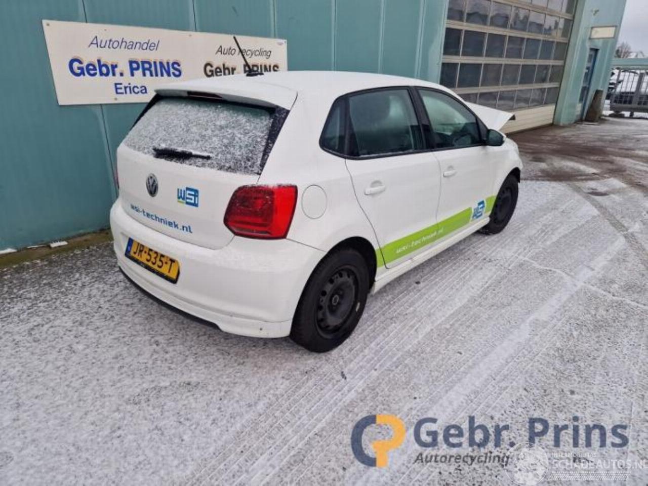 Volkswagen Polo Polo V (6R), Hatchback, 2009 / 2017 1.0 TSI 12V BlueMotion