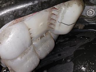 BMW 2-serie 7-Seats 218i 1.5 TwinPower Turbo 12V MPV  Benzine 1.499cc 100kW (136pk) FWD picture 10