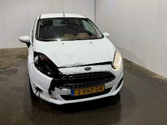 Ford Fiesta 1.6 TDCi 16V ECOnetic Hatchback  Diesel 1.560cc 70kW (95pk) FWD picture 5