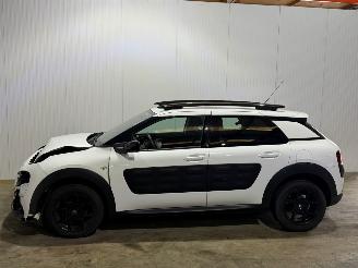 Citroën C4 cactus 1.2 PureTech 82 12V Hatchback 4Dr Benzine 1.199cc 60kW (82pk) FWD picture 8