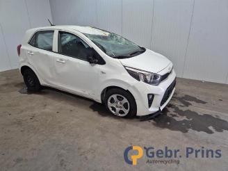 Salvage car Kia Picanto Picanto (JA), Hatchback, 2017 1.0 DPi 12V 2024/9