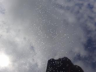 Opel Meriva 1.4 Edition, Airco, Cruise control, Nieuwe APK, 49.000 km !!! picture 20