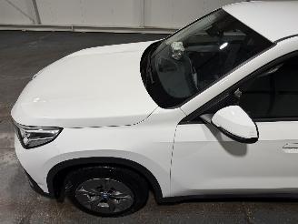 BMW iX1 67kWh 150kW eDrive20 Automaat picture 15