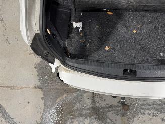 Skoda Octavia 1.6TDI 81kW Automaat GreenTech Edition BusinessLine Pano picture 25