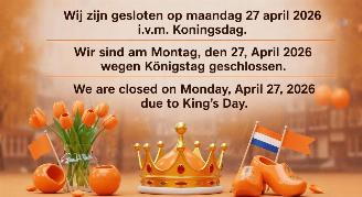 Damaged car Abarth 595 27 APRIL KONINGSDAG GESLOTEN 2026/4