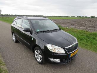  Skoda Fabia 1.2 TDi Greenline Business Line Navigatie Airco Climaat  2012 2012/8