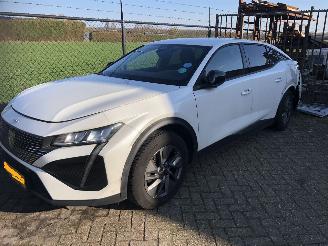 skadebil auto Peugeot 408 408 1.2 PureTech Allure 130 EAT8 2023/9