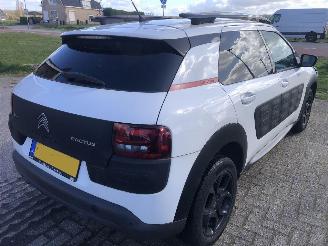Citroën C4 cactus C4 Cactus 1.2 PureTech Shine picture 5