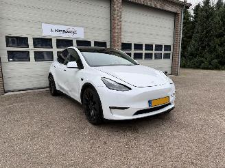 škoda osobní automobily Tesla Model Y Performance AWD 75 kWh Leder Pano 1e Eig NAP 2022/9