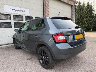 Skoda Fabia 1.2 TSI Joy Navi Clima Cruise 35814 Km ! picture 4