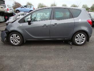 Opel Meriva  picture 2