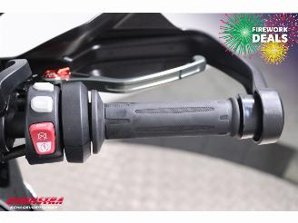 BMW S 1000 XR Dynamic Touring Cruise Heizgriffe picture 21