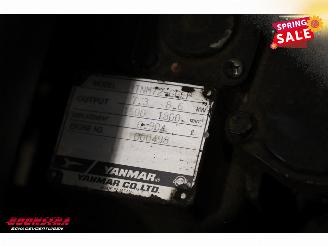   C6 Compact BY 2012 Rupshijskraan Raupenkran picture 21