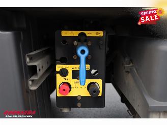 Schmitz Cargobull  SKO Thermo King SLXi 300 Dhollandia 2X Lift BY 2020 picture 30