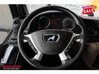 MAN TGS 18.320 Full Air XXL-LBW Camera Navi picture 27